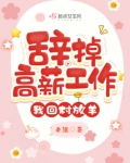 辞去了高薪工作