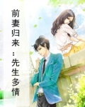 前妻归来:先生多情小说
