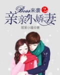 boss来袭娇妻请留步