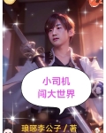 小司机出走之谜