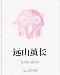 但远山长