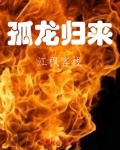 龙帅归来电视剧