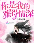 你是我的难得情深全书免费
