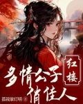 红楼重生贾环文武双全下载