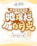 穿成恶毒女配后我乐坏了 小说