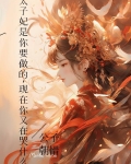 小说太子妃说
