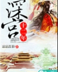 深宫十二年 小说