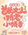 穿越七零首长大人娇宠小娇妻作