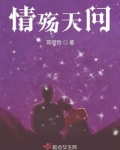 情殇天问