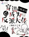 穿进无限游戏后成为反派大佬百度网盘