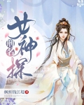 真版女神探案