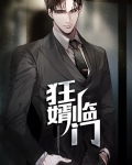 狂婿临门
