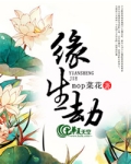 缘生劫灭相近的词语