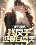妻子背叛我反手迎娶美女总裁下载