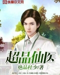 超品仙医叶不凡,贺双双