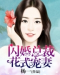 小说闪婚总裁花式宠妻