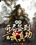 武侠开局签到玄武真功下载TXT
