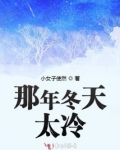 那年冬天太冷