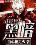 我就是黑暗中的第一道光,以雷霆击碎黑暗