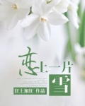 恋上一片雪好看吗
