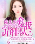 陆先生爱你终成功