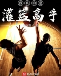 灌篮高手我是不是菜鸟