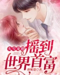 头号宠婚小说