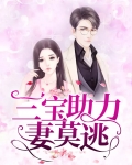 小说三宝助力妻莫逃