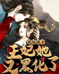 错嫁傻王:王妃她又黑化了