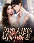 闪婚大佬的双面小娇妻