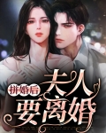 隐婚后夫人天天想离婚