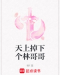 天上掉下个林哥哥殿