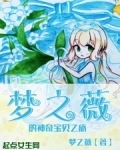 神奇宝贝:梦之旅