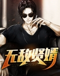 都市无敌仙婿