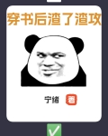 穿书后我让渣攻追妻火葬场