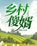 乡村傻婿