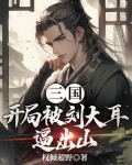 三国开局大耳贼 小说