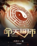 全文免费阅读天命相师