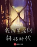 我的互联网科技时代 小说