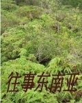 被困缅北
