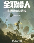 全职猎人黑暗小说