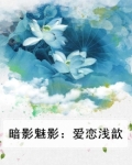 暗夜魅影是什么意思