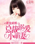 专情总裁溺爱妻 小说