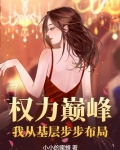 权力巅峰:我从基层步步布局 小小的蜜蜂