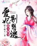 霸皇缠身:爱妃,别想逃