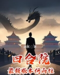 四合院何雨华
