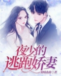 夜少的绝宠小甜妻