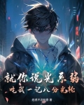 八分光轮段位