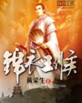 锦衣王侯 小说