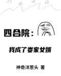 四合院：我成了娄家女婿